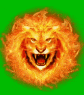 Gif animé lion feu
